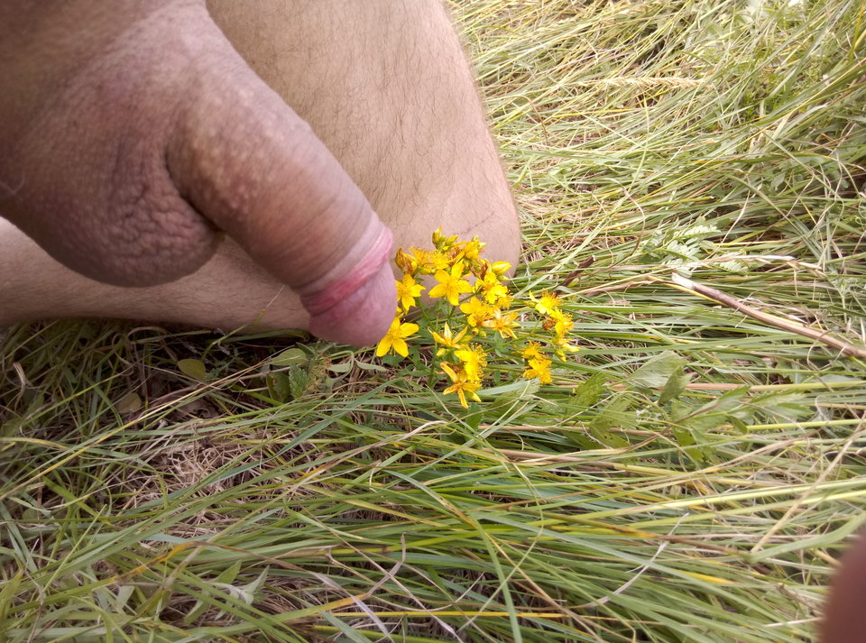 IMAG0290.jpg - vito80