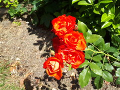20180624_132459_001.jpg