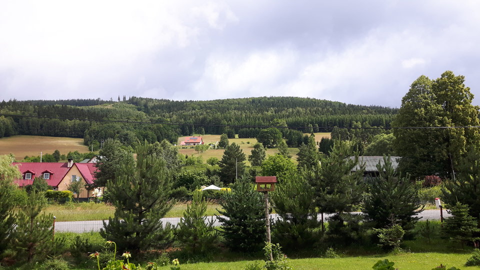 20180624_102415.jpg - colt59