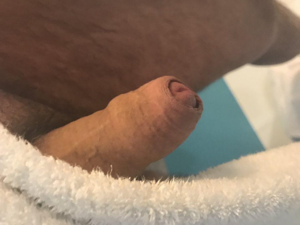 EFCC3133-7527-46AC-90F2-2E23EBF16EEB.jpeg - harry2316