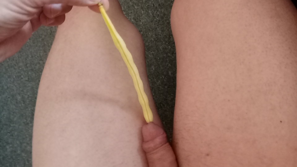 IMG_20180627_072656.jpg - pspiter