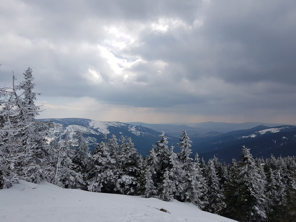 20180402_145354.jpg - Upalator