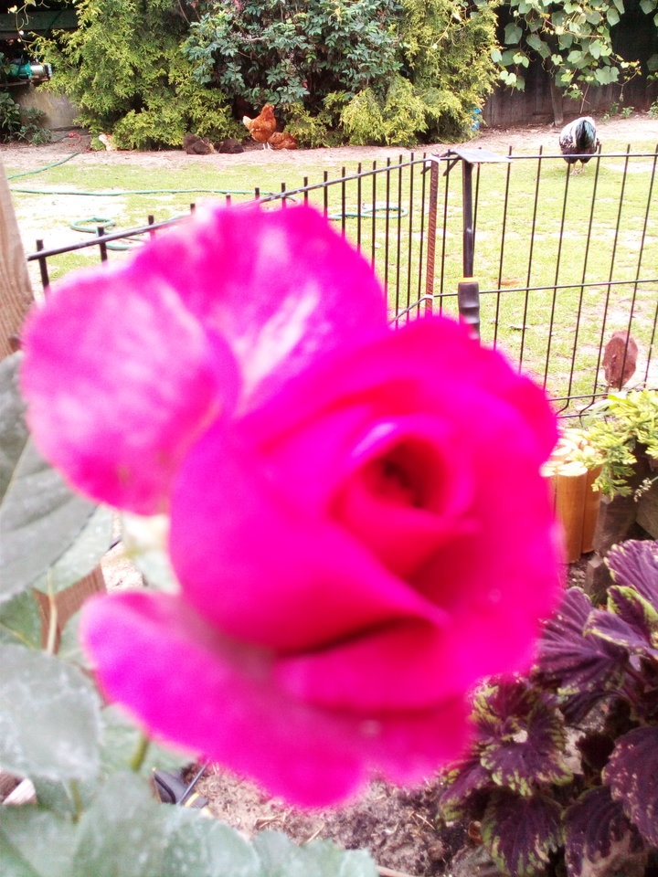 IMG_20180628_162257.jpg - Xxx50plus