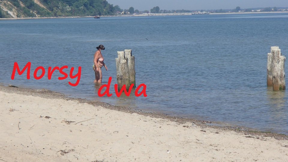 Babie Doły - Morsy_dwa