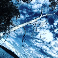DD41F8D9-A17E-491C-99A6-2AB7F68F0503.jpeg
