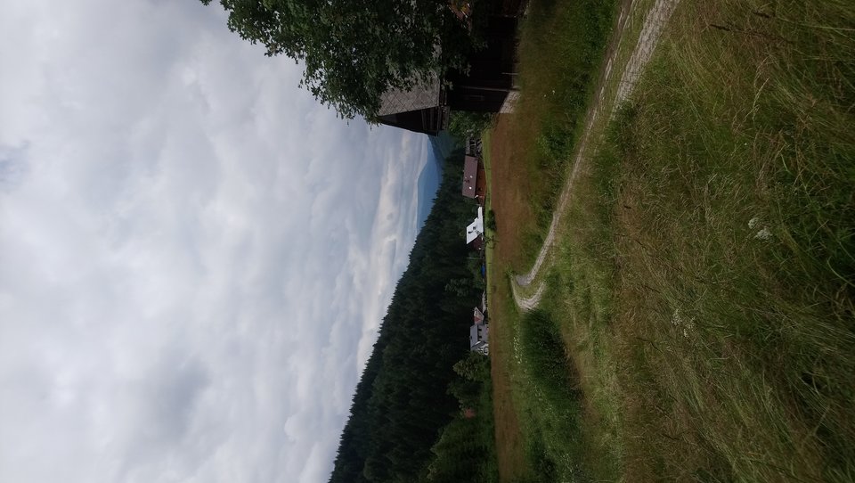 DSC_0242.JPG - mark1807