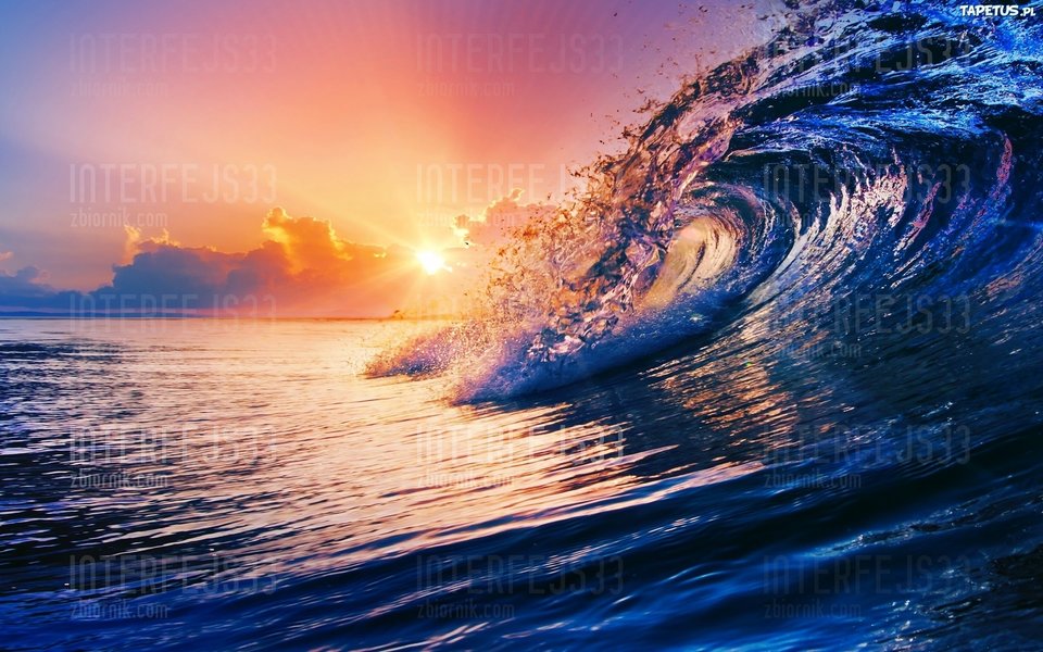 zach.jpg - interfejs33