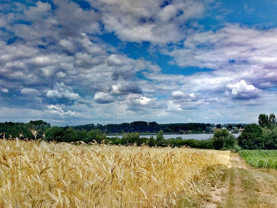 IMG_20180626_141736.jpg - Alien65