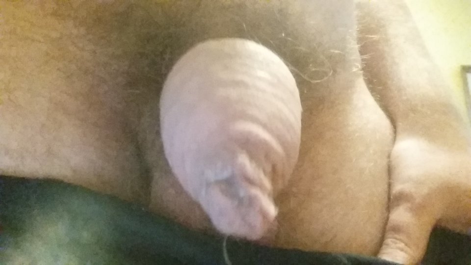 15305456193362497113717532324045.jpg - Niesmialy31