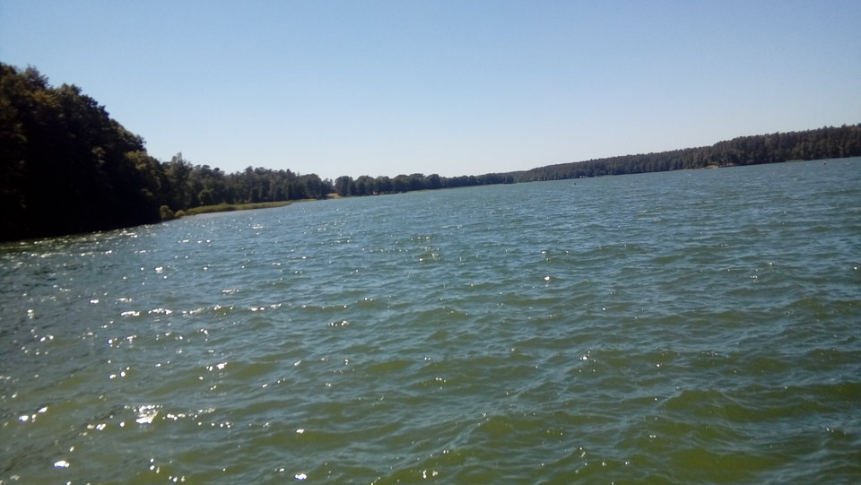 20180620_133957.jpg - Przemodkl79