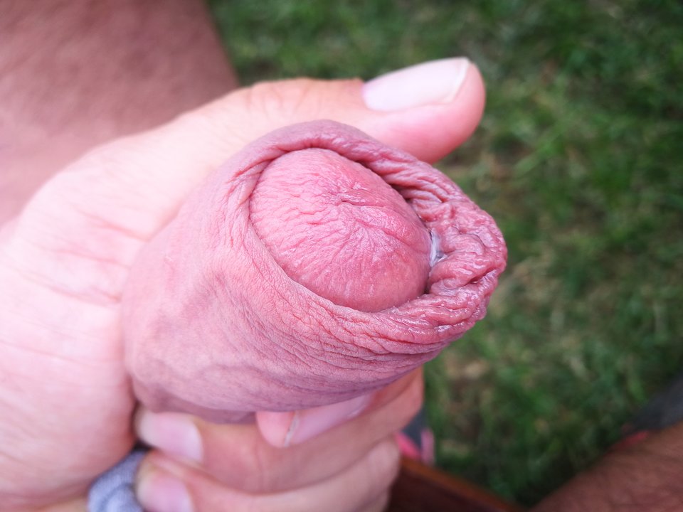 IMG_20180702_175127.jpg - MrFerda