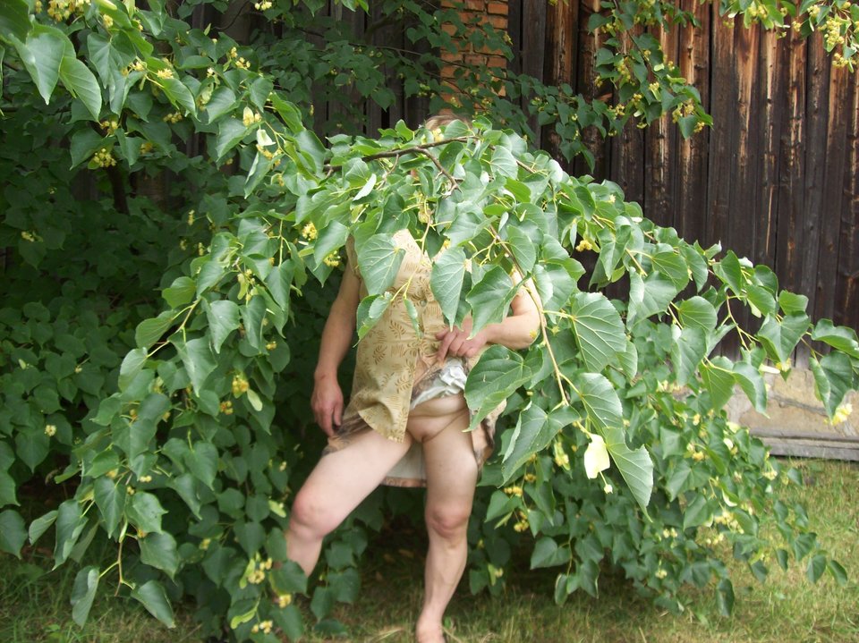 100_3271.JPG - szalonapipi