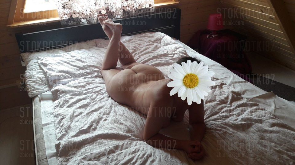 w02.jpg - Stokrotki82