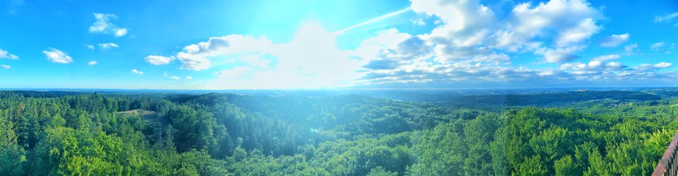 1B143740-846C-4EB2-AD57-501B864927A3.jpeg - Mekagojiranogyakushu