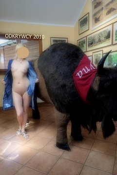 Poskromienie byka :)