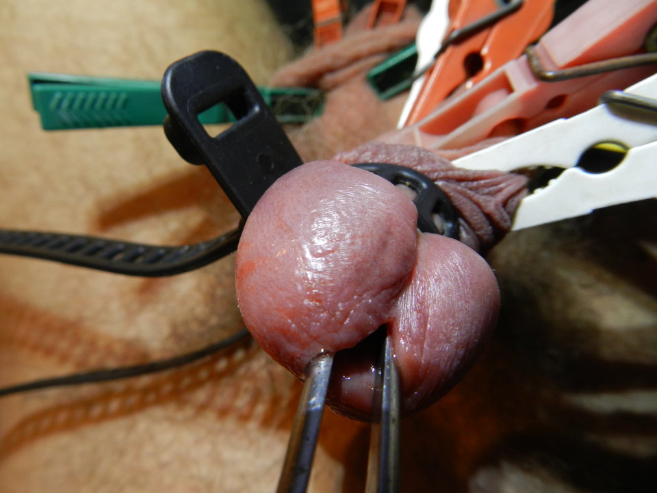 DSCN2149.JPG - janekoko4