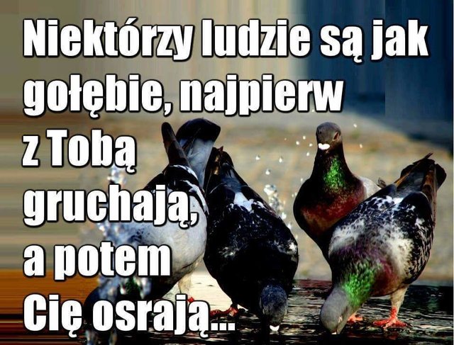 Piotr_1965