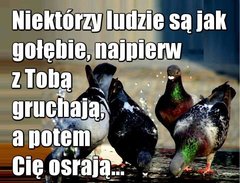 FB_IMG_1531157604882.jpg