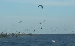 20180710_123307.jpg