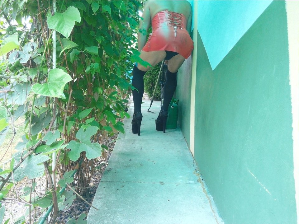 IMG_20180711_062831.jpg - unialeszno