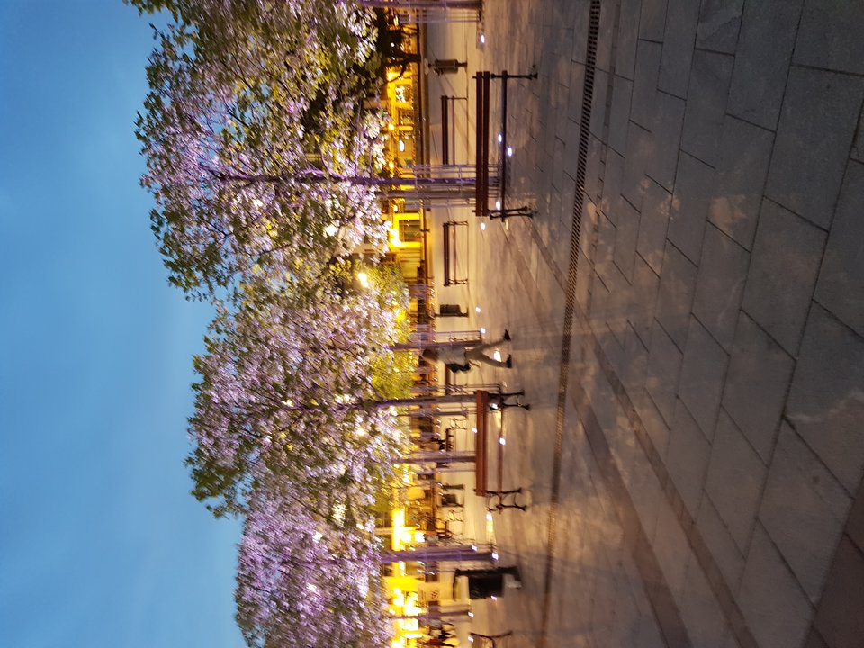 20180517_211340.jpg - reporter13