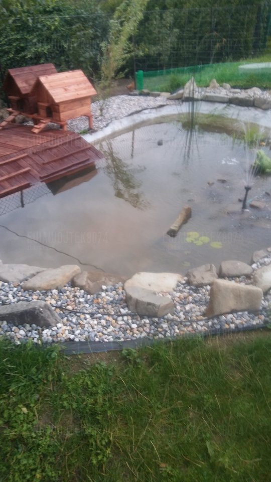 20180712_193222.jpg - ewawojtek8074