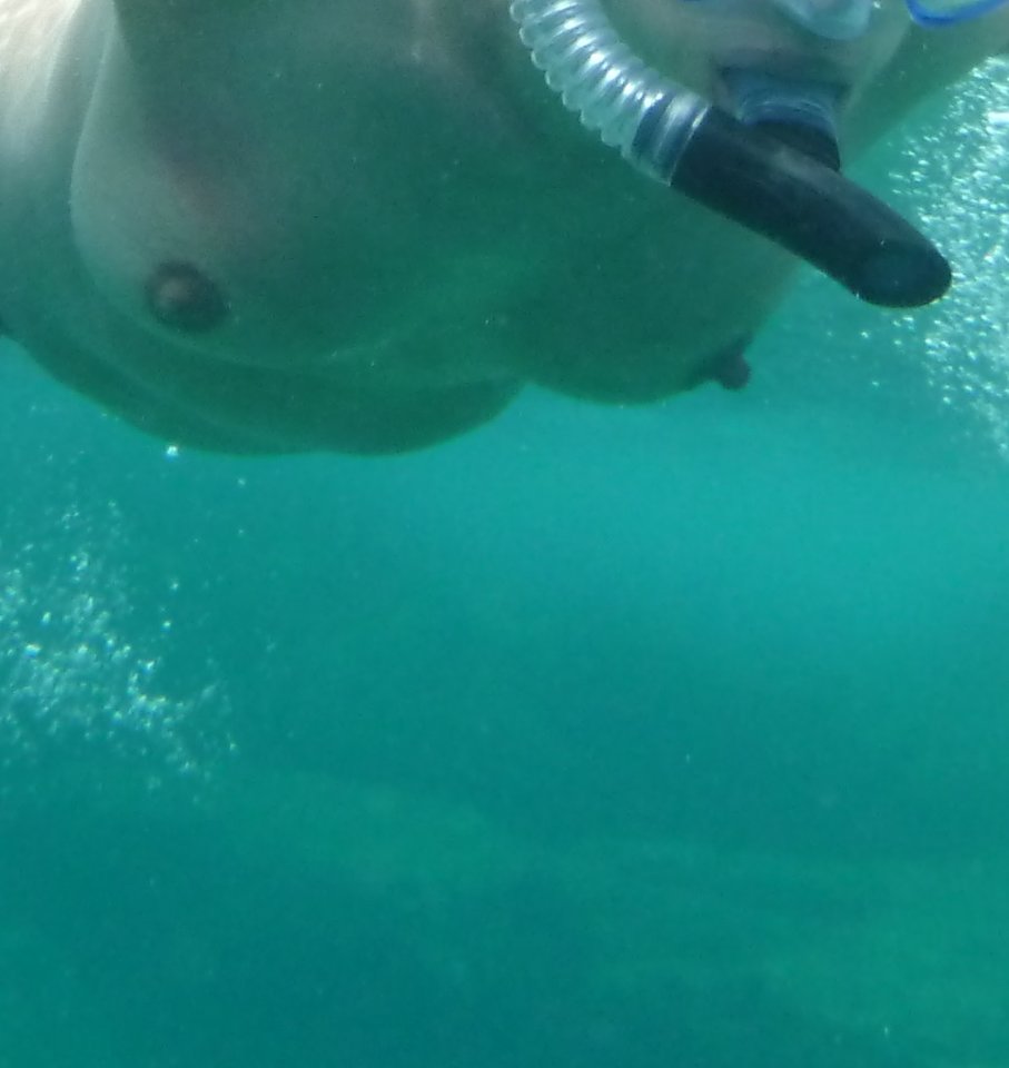 Podwodne.,...jpg - aga124