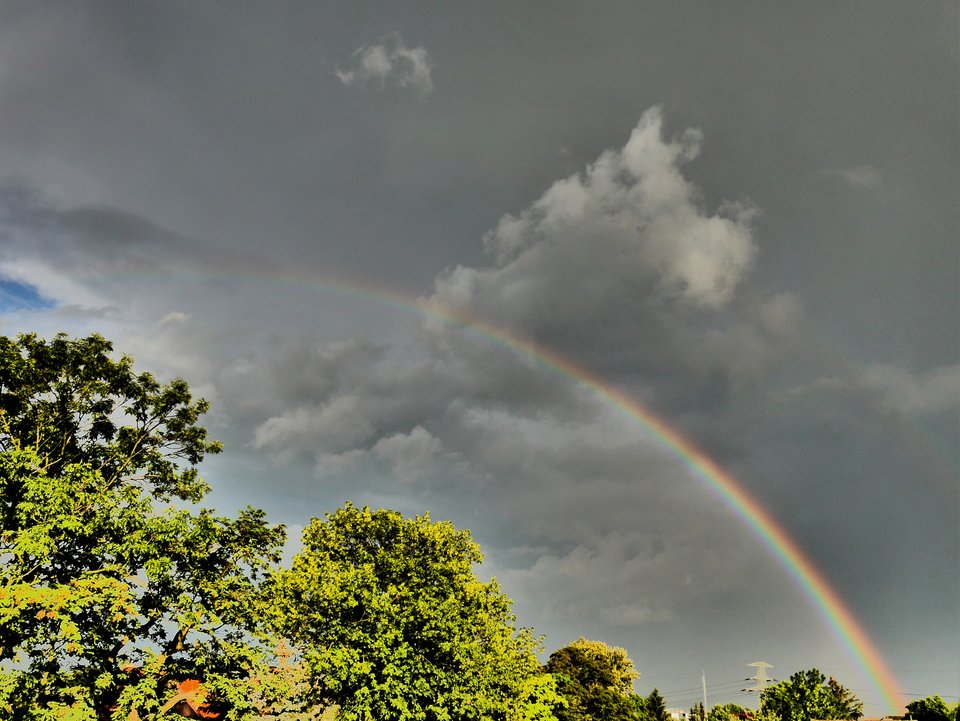 P1040217a.jpg - FoKam431