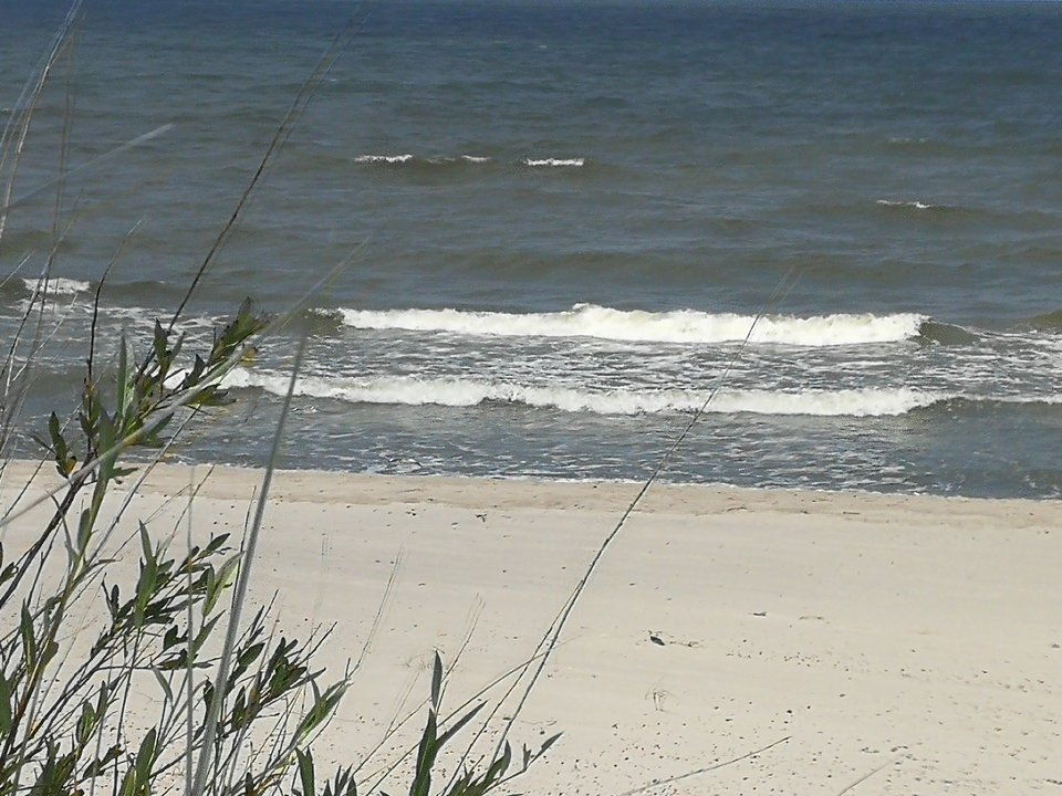 IMG_20180715_115221.jpg - mmm00