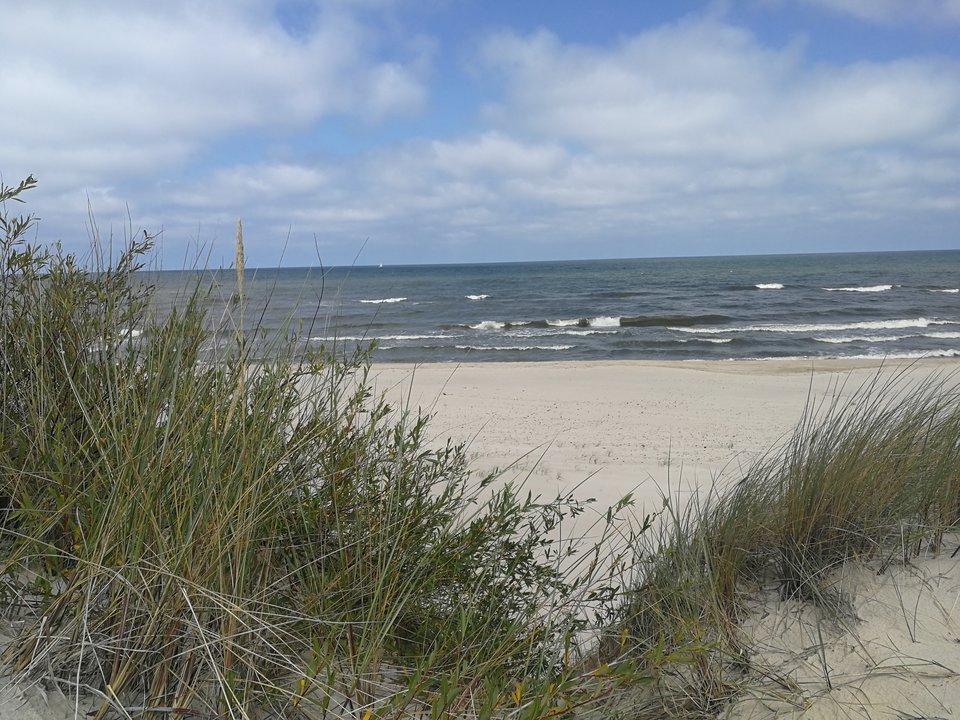 IMG_20180715_114823.jpg - mmm00