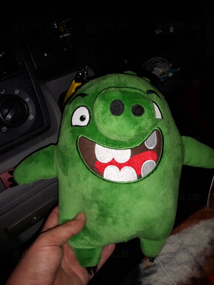 20160719_213131.jpg - realny30_LBN