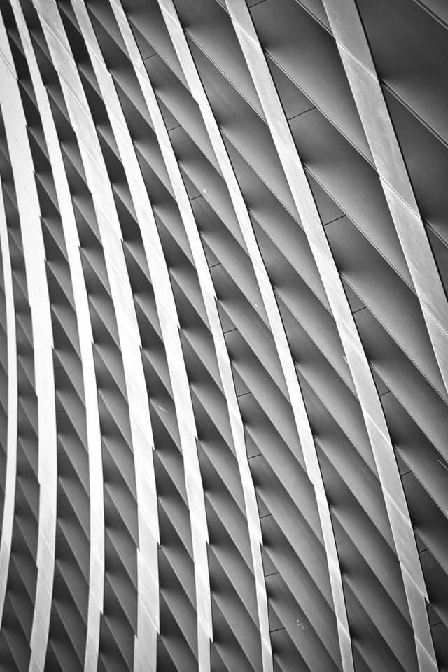 białe linie - marquiz