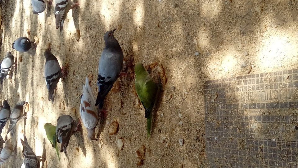 20180720_125131.jpg - Przemodkl79