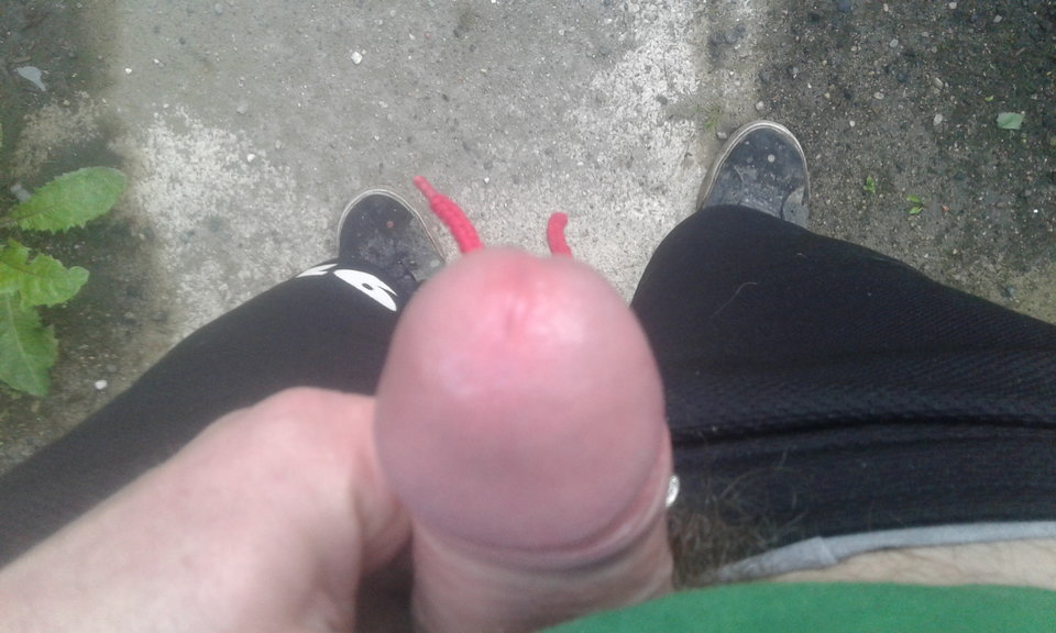 20180721_063029.jpg - gawel2323