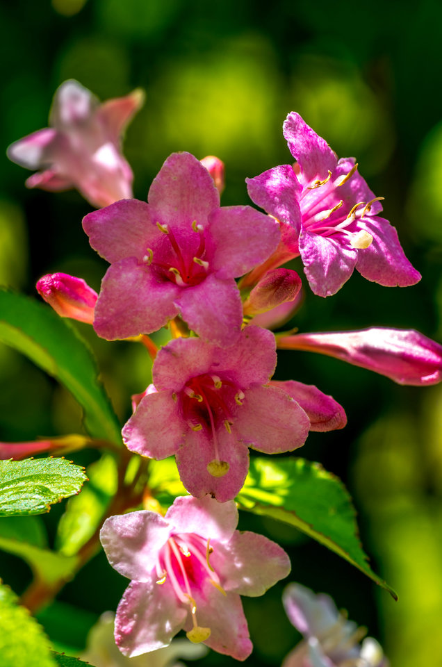 Pod słońce - mystic