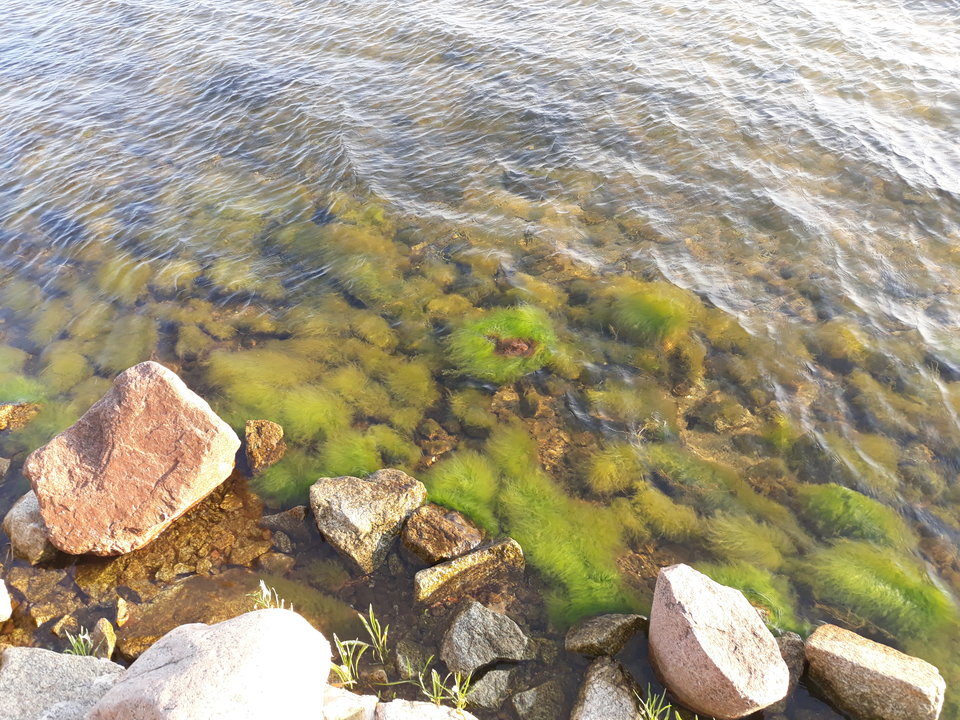 20180721_191612.jpg - paraolsztyn11