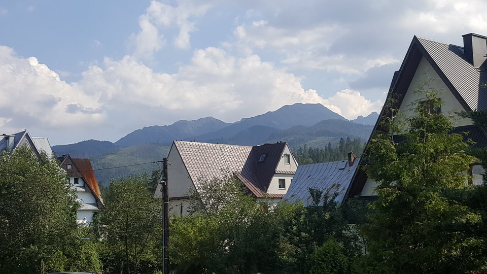 20180721_165449.jpg - CUBUT