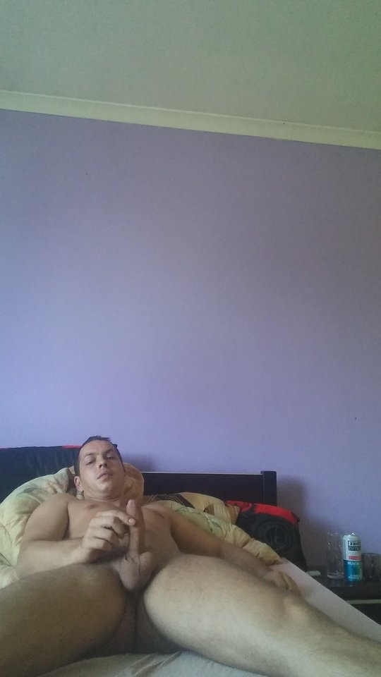 37610764_1596518310456490_1532901521891524608_n.jpg - alpacz