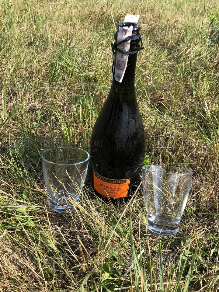 1D4935A7-6069-425D-8C33-3D5CCEEF884C.jpeg - blizaki