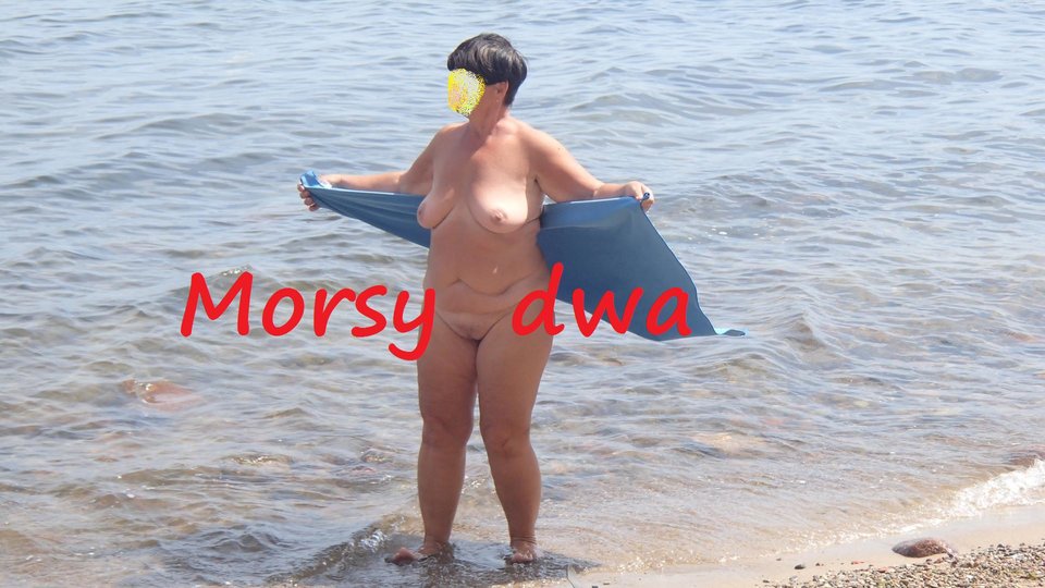 Morze. - Morsy_dwa
