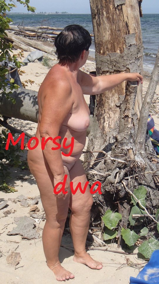 Morze. - Morsy_dwa