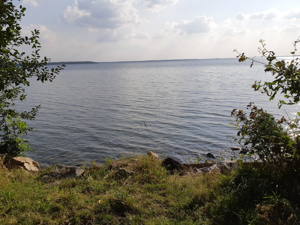 IMG_20180723_174432872432724.jpg - mlody1277