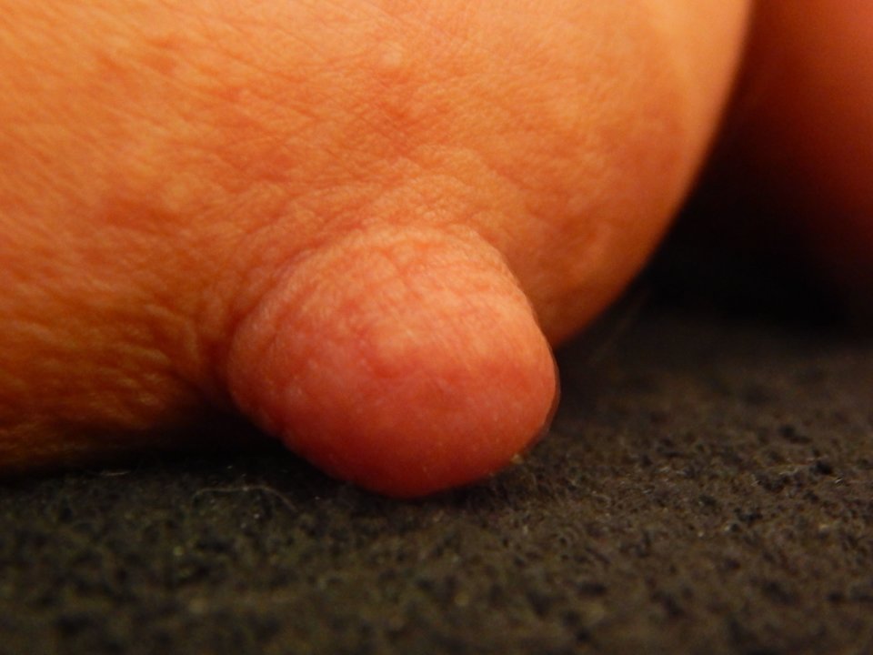 DSCN9893.JPG - betmak