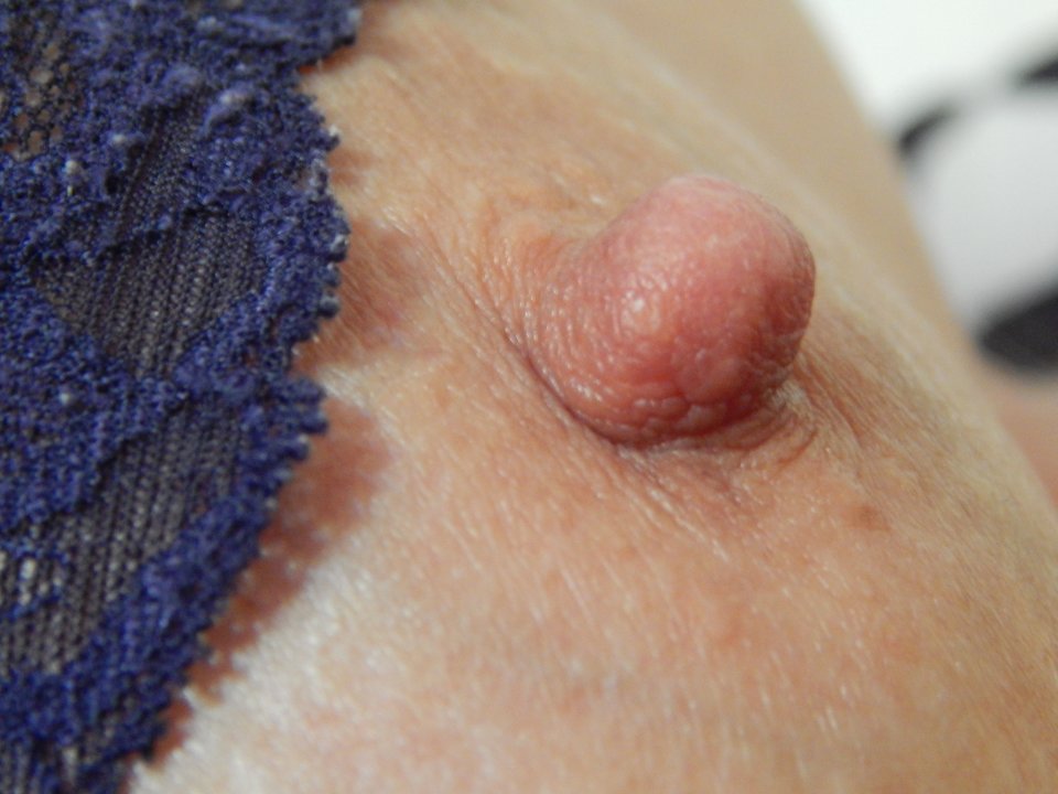 DSCN9894.JPG - betmak