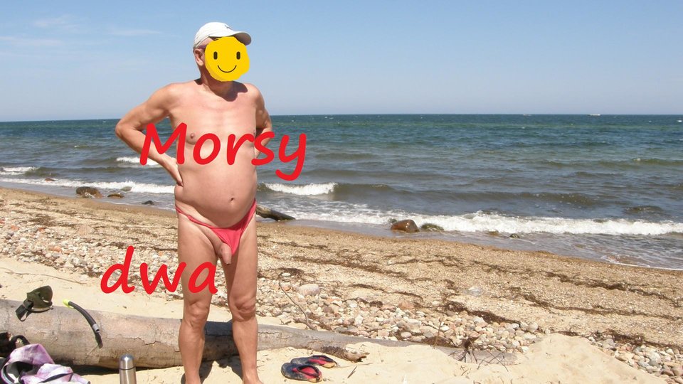Morze. - Morsy_dwa