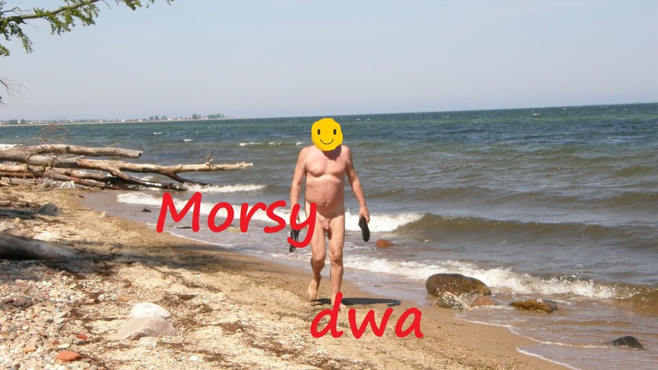 Morze. - Morsy_dwa