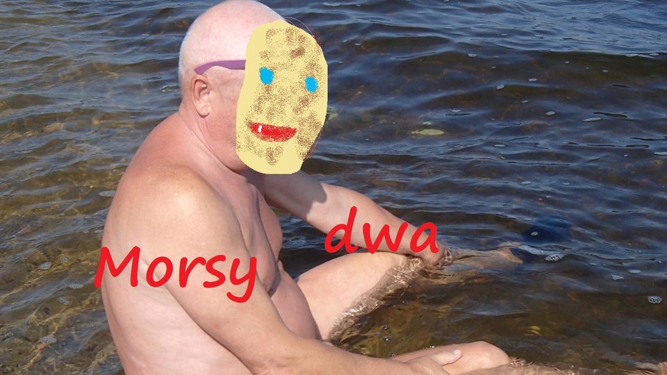 Morze. - Morsy_dwa