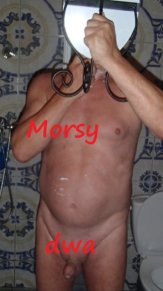 Golenie. - Morsy_dwa