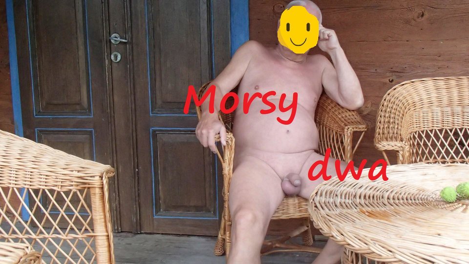 "Ptaszek" - Morsy_dwa
