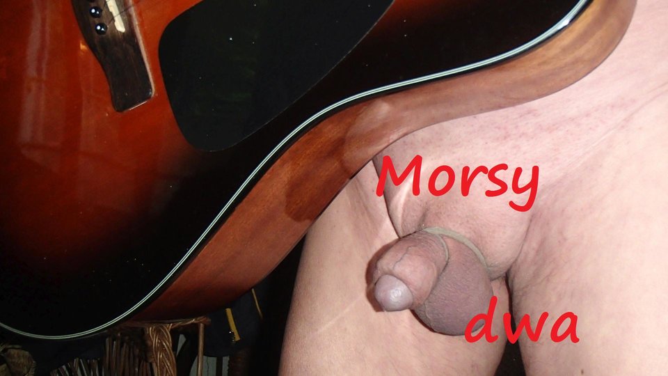 "Ptaszek" - Morsy_dwa